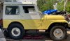 IMG_4953.jpeg